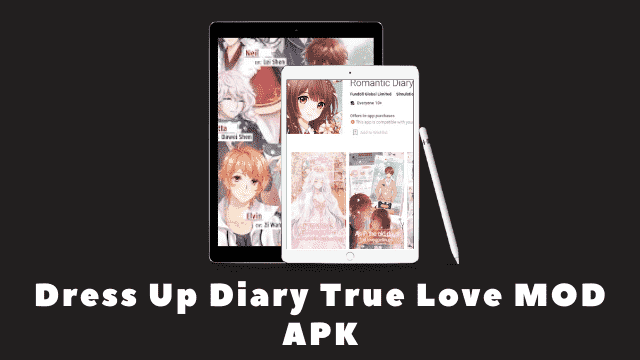 Dress Up Diary True Love Cover