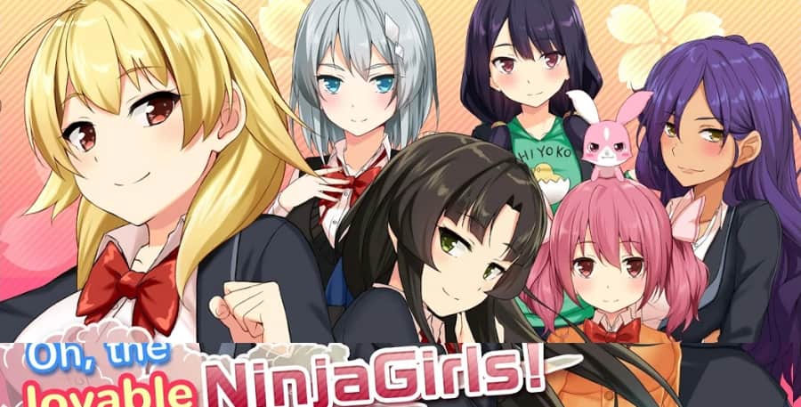 Moe! Ninja Girls Poster