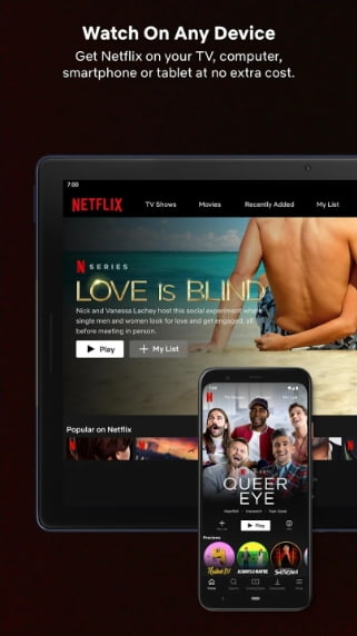 Netflix MOD APK Premium Unlocked
