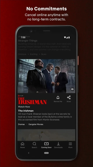 Netflix Premium MOD APK
