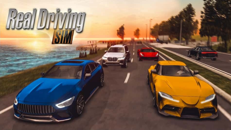 Real Driving Sim MOD APK
